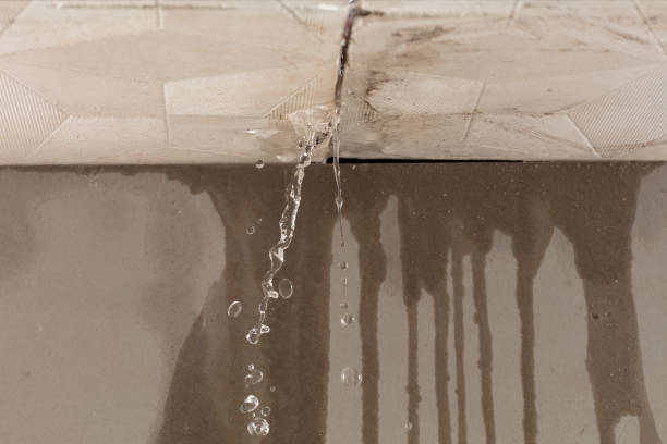 Professional Water Damage Repair technician working in West Forks, ME